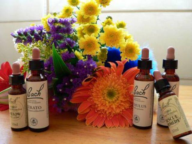 flores de bach y flores