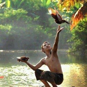 niño dejando volar pajaro