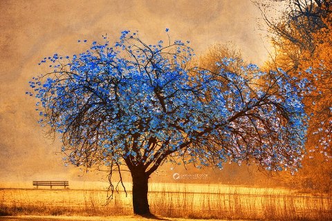arbol azul