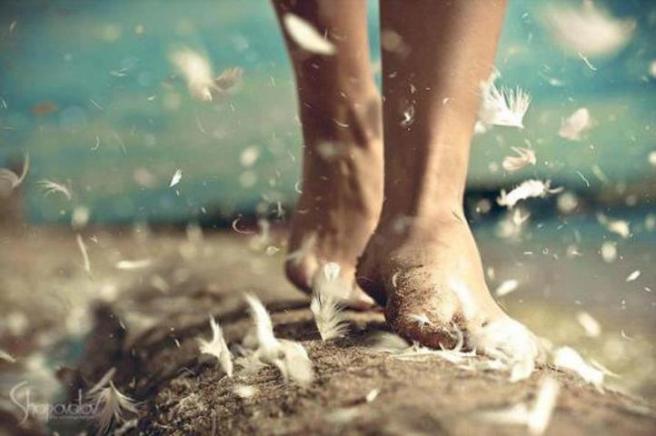 caminando pies y plumas