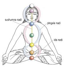 chakras sushumna1