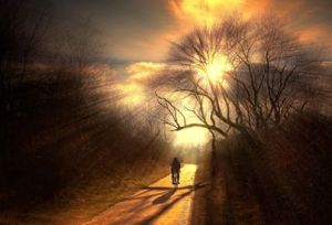 camino dorado  en bicicleta