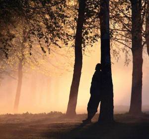 hombre bosque sombras