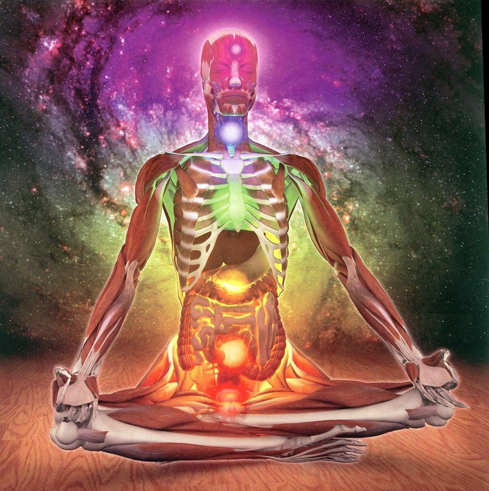 chakras esqueleto