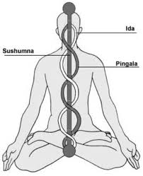 chakras sushumna 2