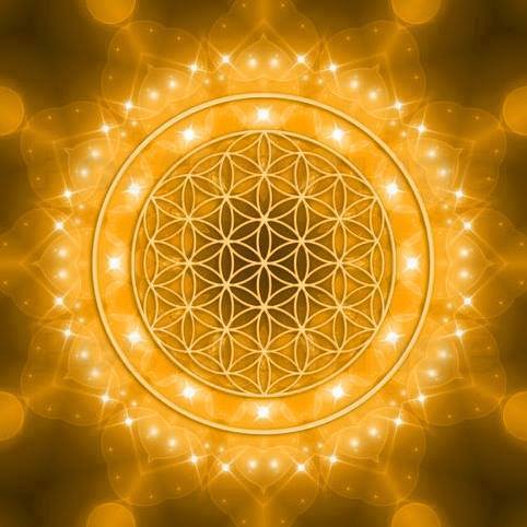 codigo la flor de vida oro