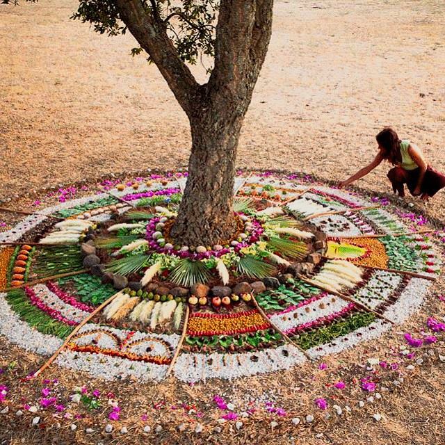 arbol mandala