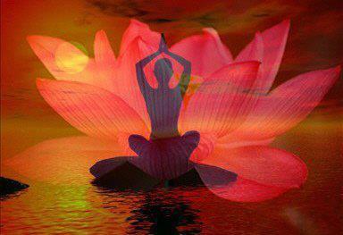 meditacion y loto